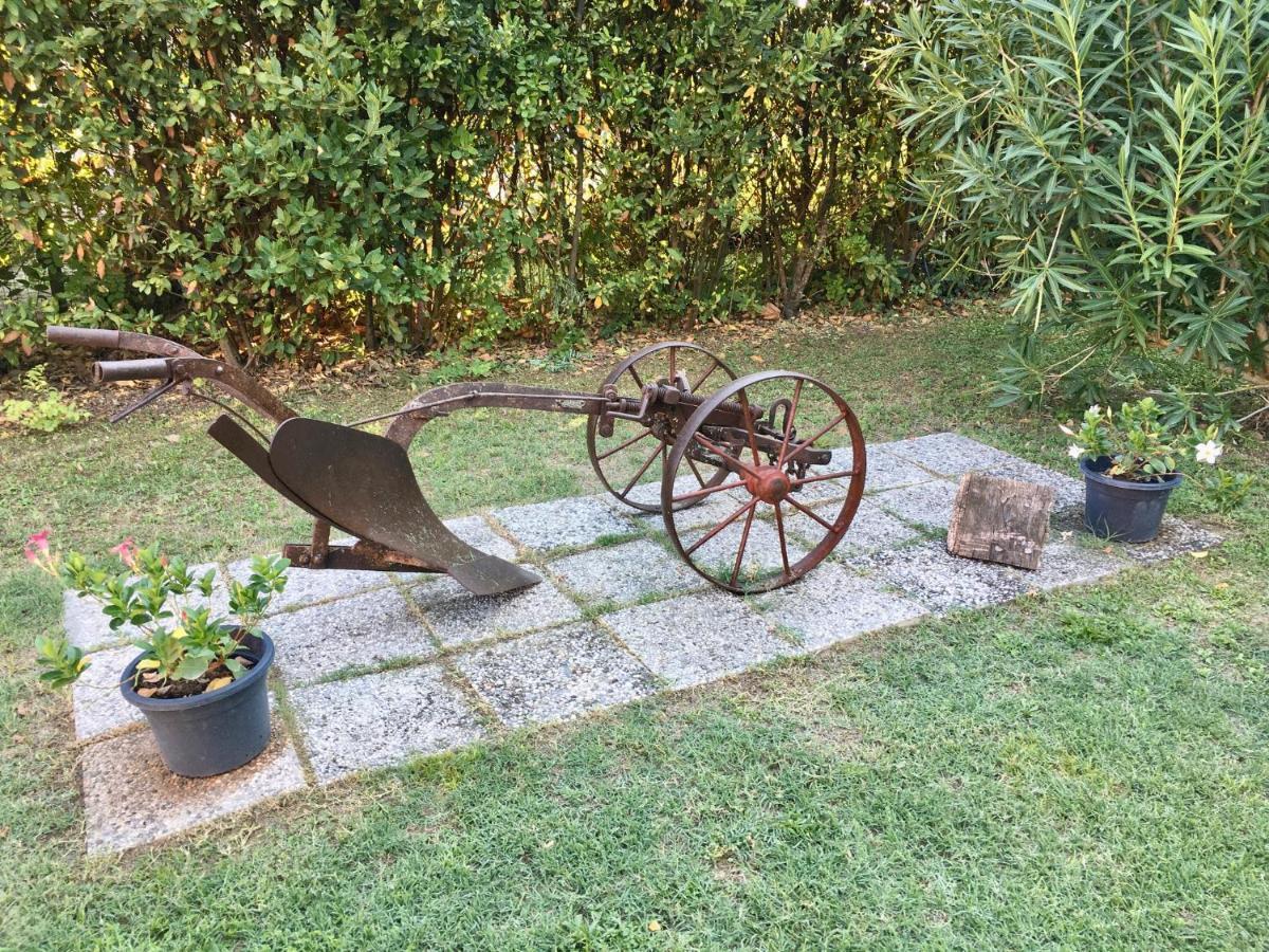 Societa Agricola Le More Agriturismo La Dondina Budrio  Luaran gambar