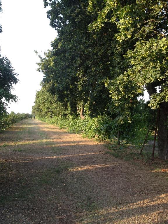 Societa Agricola Le More Agriturismo La Dondina Budrio  Luaran gambar