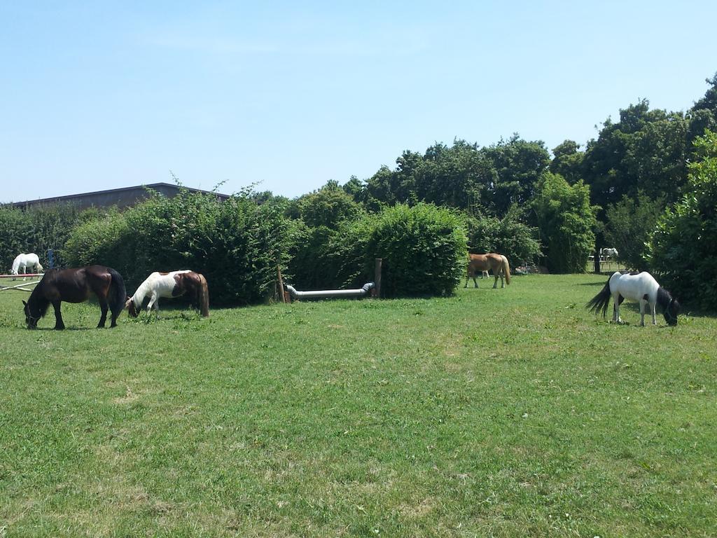 Societa Agricola Le More Agriturismo La Dondina Budrio  Luaran gambar